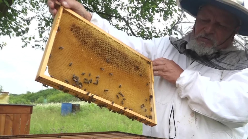 [multi] 061424MCJ 3990