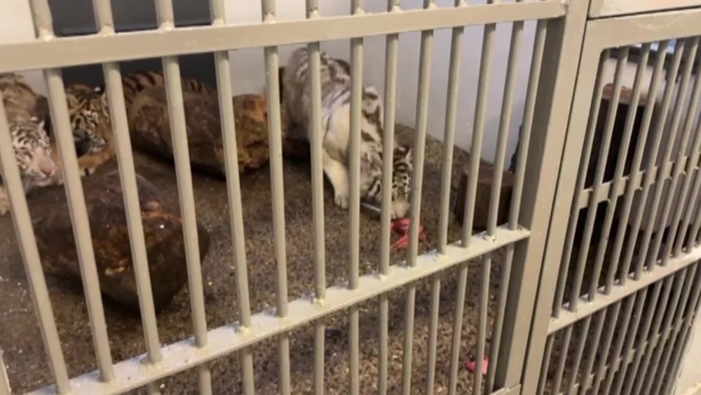 [multi] 042424KNF 87