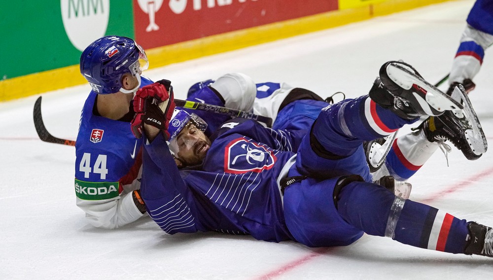 Francúzsko - Slovensko 7