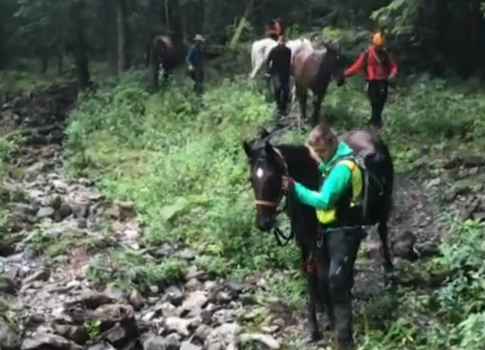 Horskí záchranári takúto akciu ešte nezažili. V Malej Fatre zachraňovali jazdecké kone