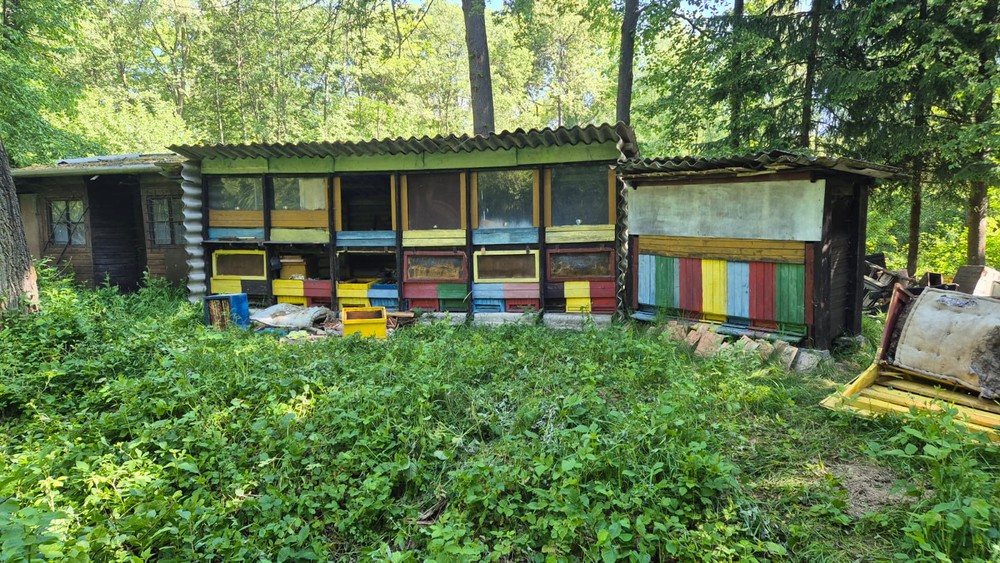 Medveď zničil úle (1)