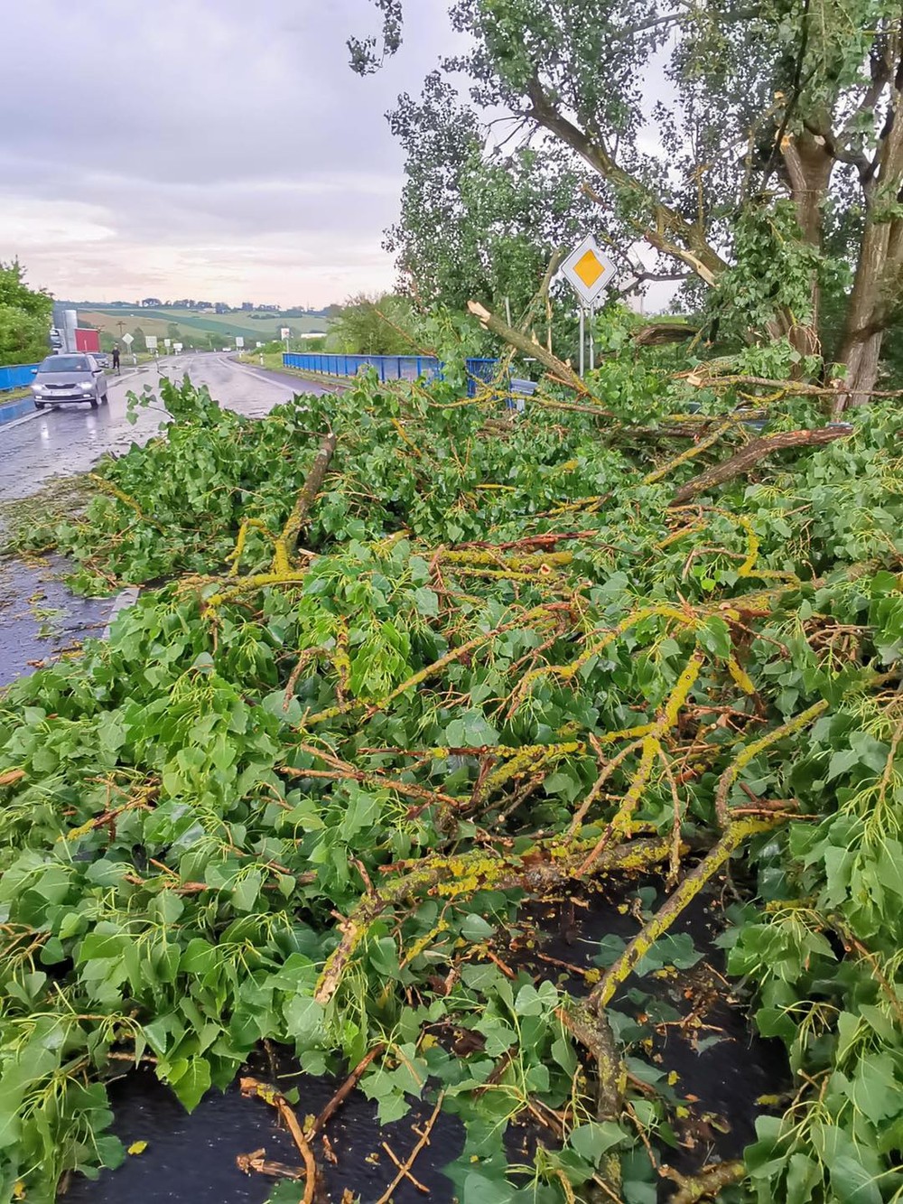 Silná búrka polámala stromy