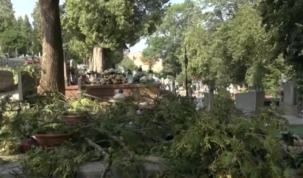 pusť na mestkom cintorine