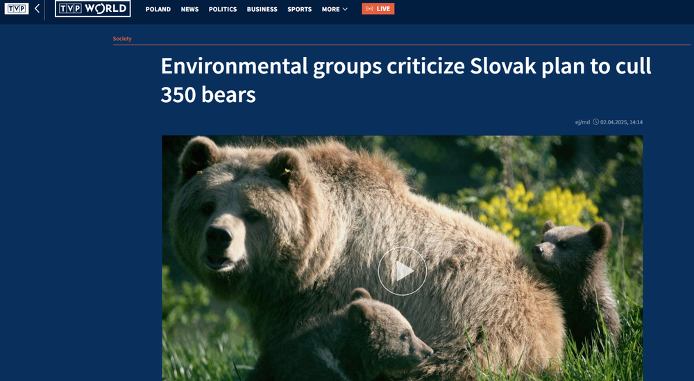 Stránka TPV World píše o odstrele medveďa na Slovensku
