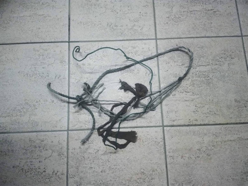 Pri Košiciach niekto vyhodil pod most zviazanú fenku