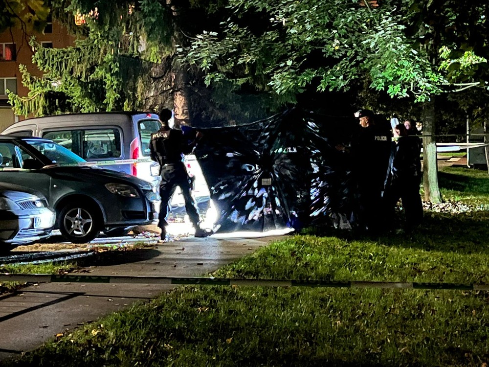 vražda žilina sídlisko