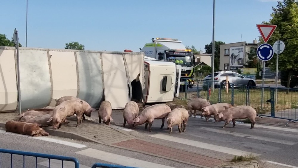 [multi] Prevrátený kamión 2187