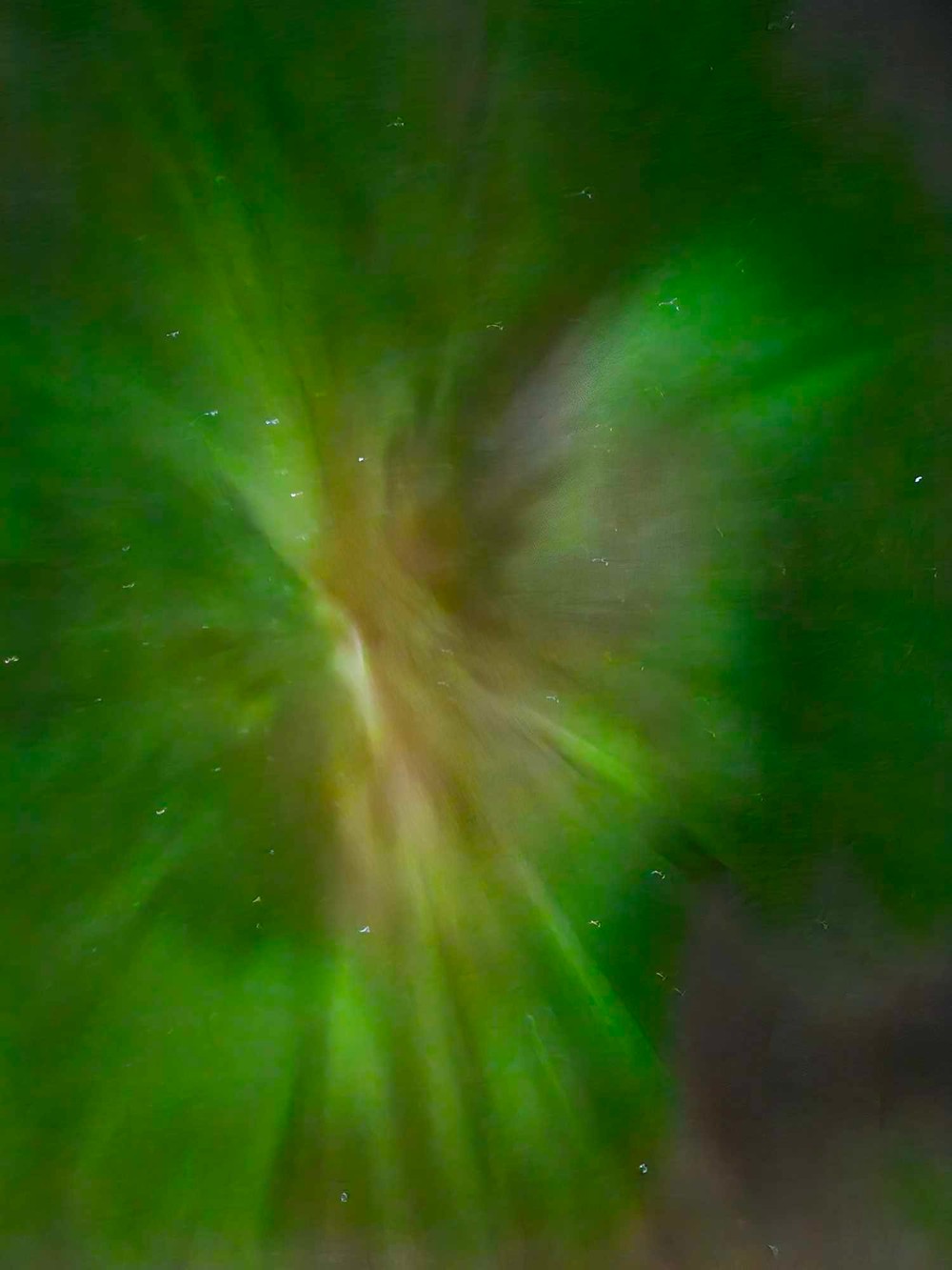 201fe4f6-0d2f-4dac-a5e6-f36bd28dfa2f