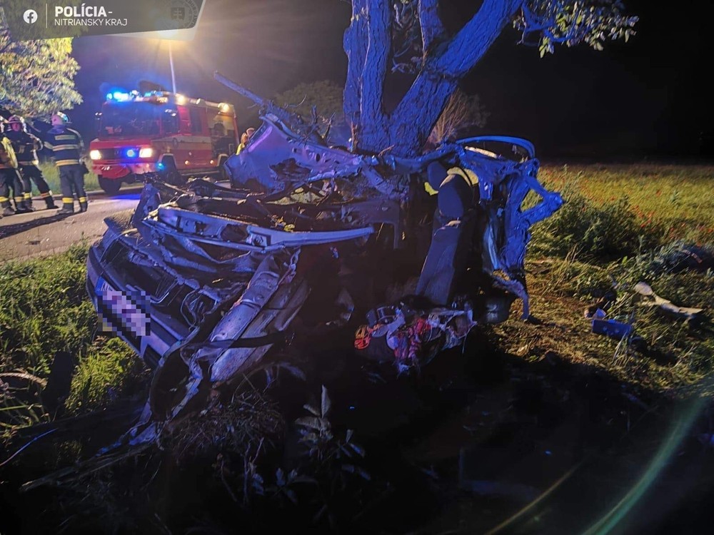 352575832_636525051856709_570863126460966127_n