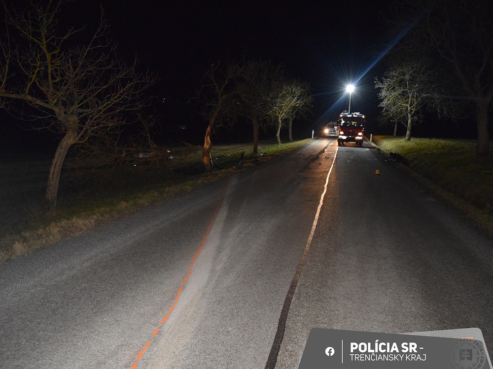 Vodič narazil do stromu