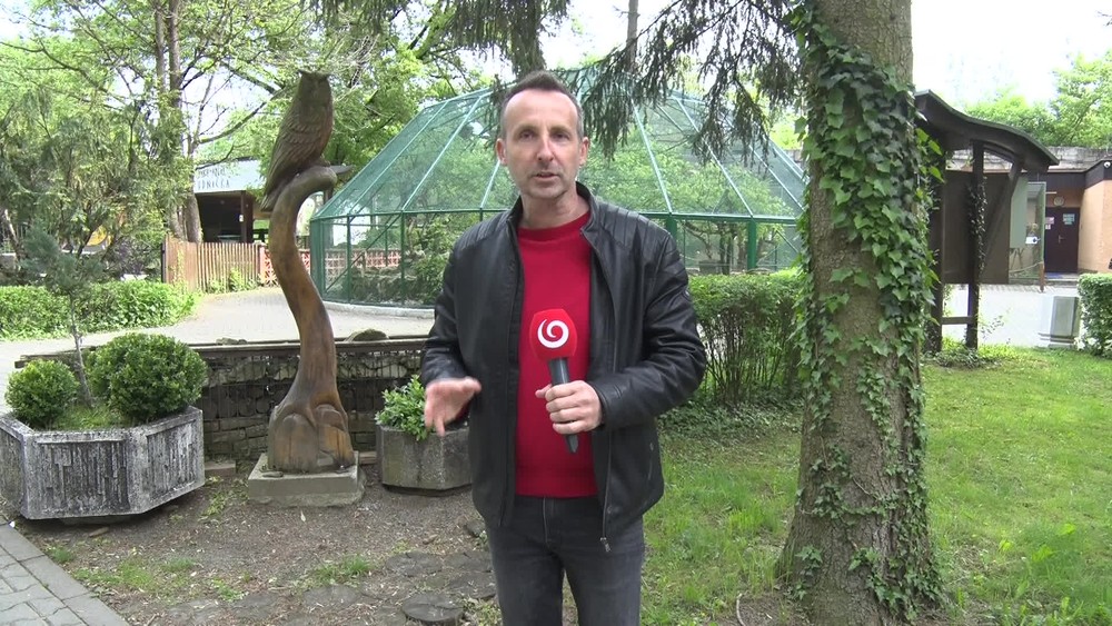 [multi] 042424KNF 89