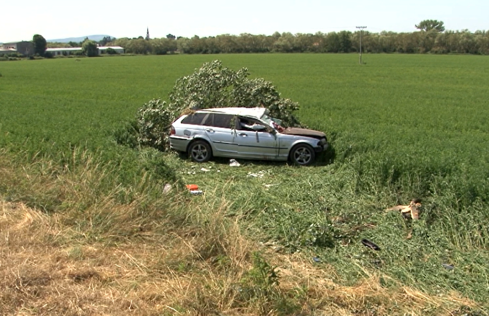 Pri silnom náraze vyvrátilo strom aj s koreňmi