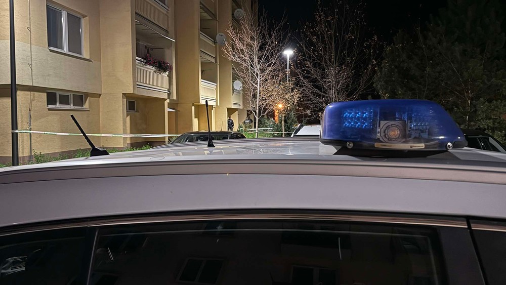 Polícia na mieste činu 3