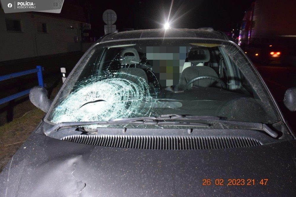 333821438_995509181827805_6992453391453972279_n