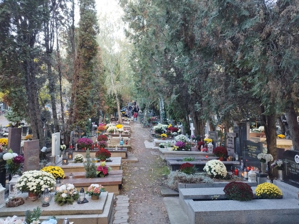 Cintorín v Bratislave (4)