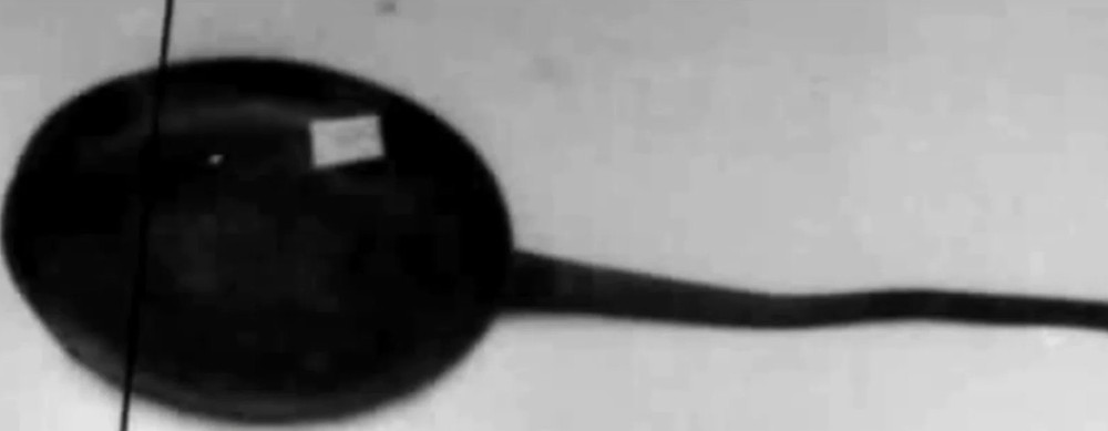 Ukradnutá palacinkáreň