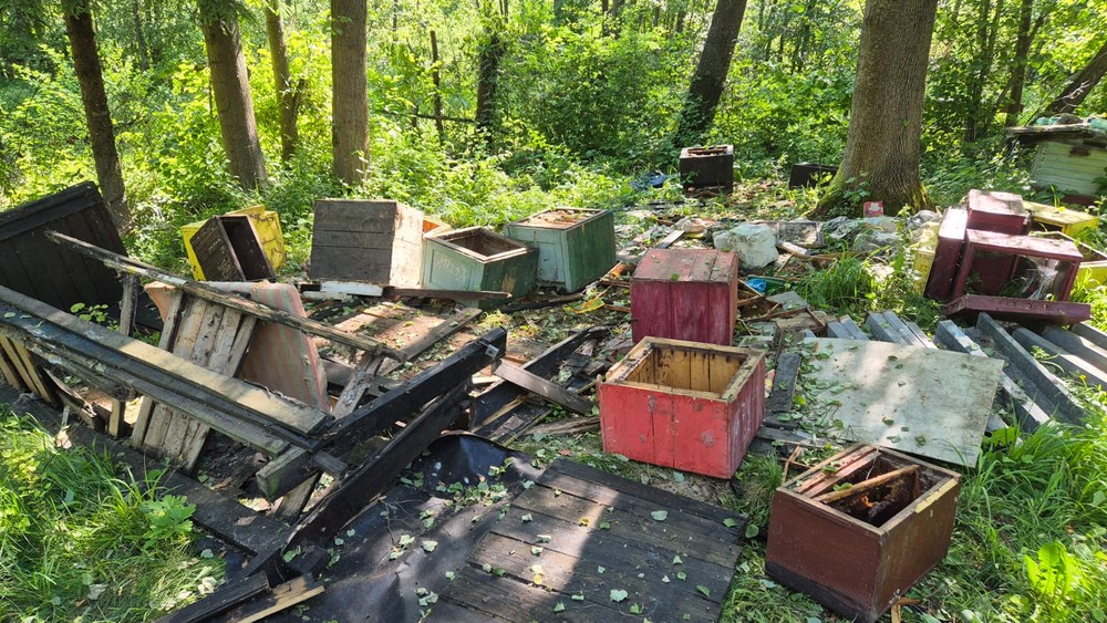 Medveď zničil úle (2)