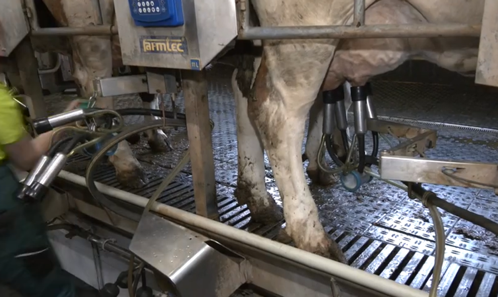 Screenshot 2024-05-19 092303