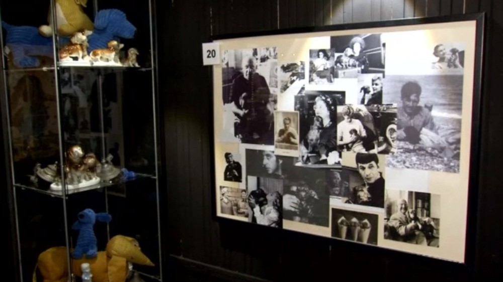 Múzeum jazvečíkov 