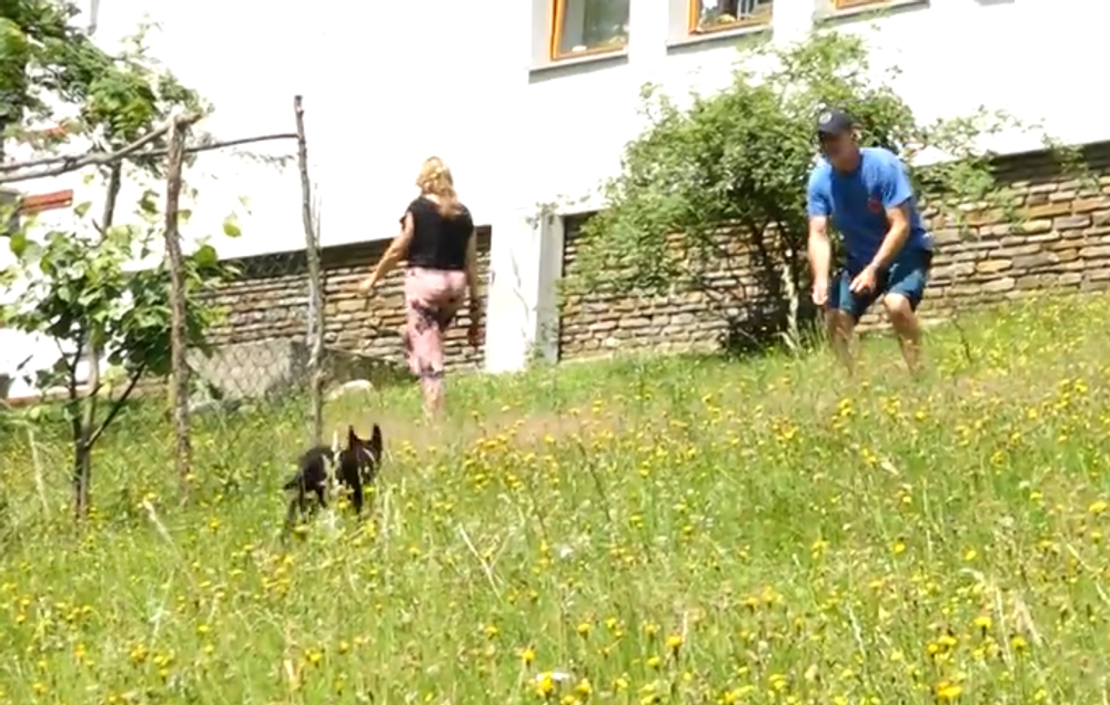 Screenshot 2024-07-27 094125