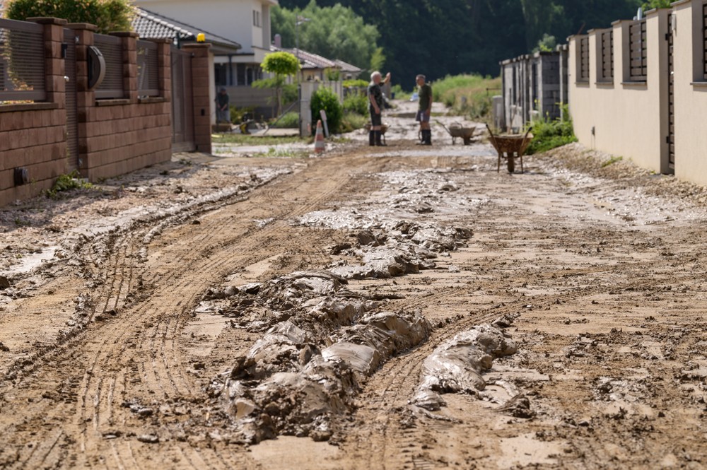 bltpvdnnr110624nr7049756