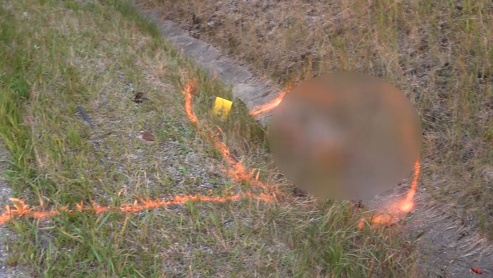 Motorkár sa zrazil so srnkou