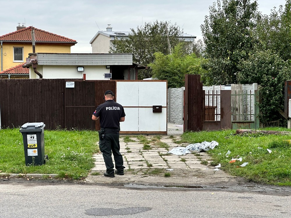 Incident domácnosť (2)