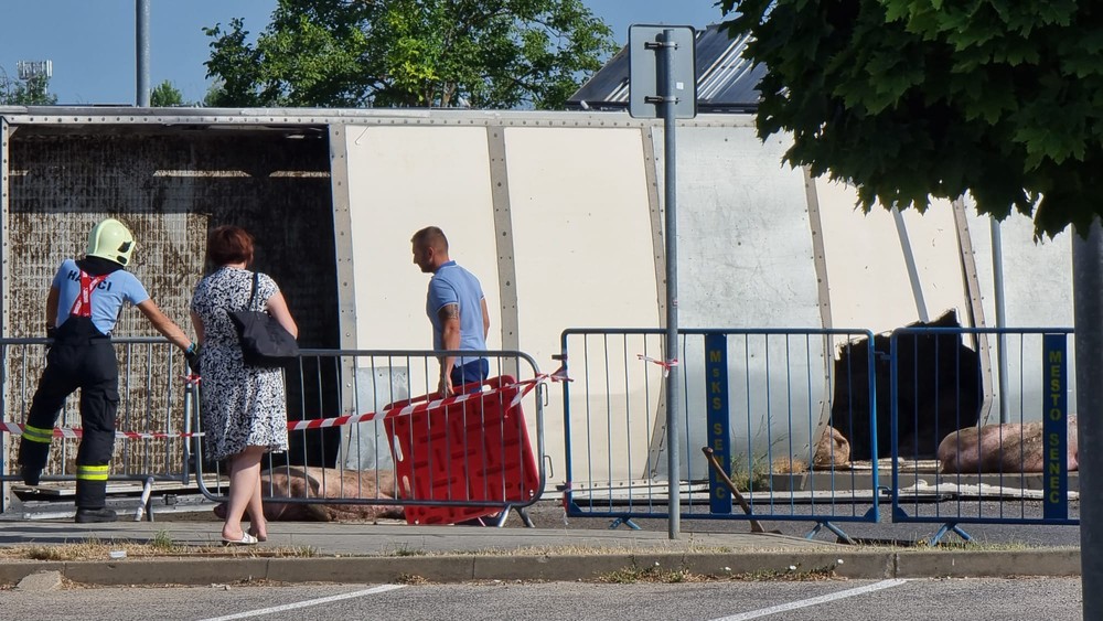 WhatsApp Image 2023-07-20 at 08.37.03