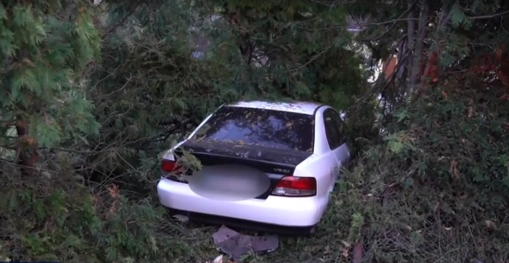 Po rýchlej jazde skončil v záhrade domu. Zastavili ho až stromy