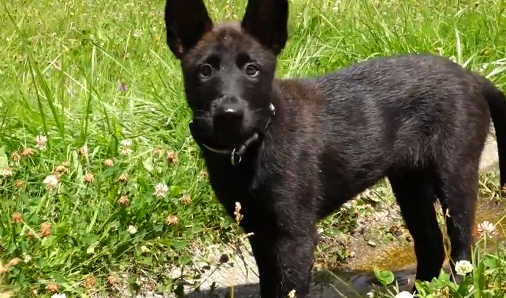 Screenshot 2024-07-27 093824