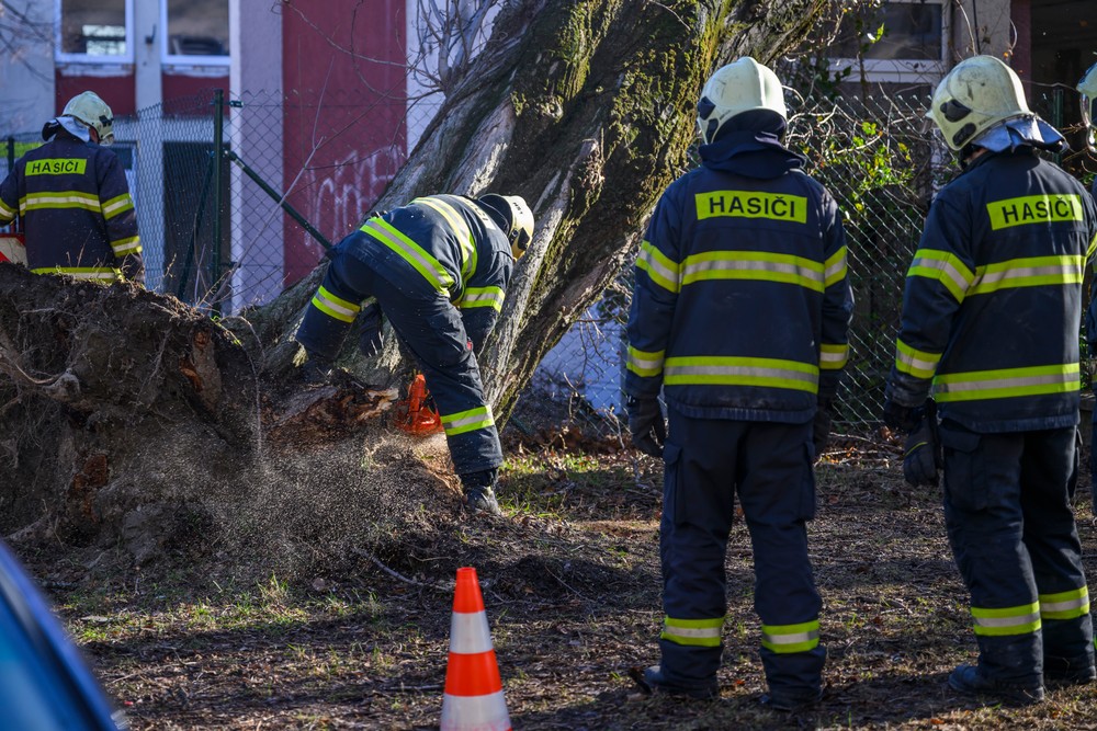 Bratislava škody strom vietor vichrica (4)