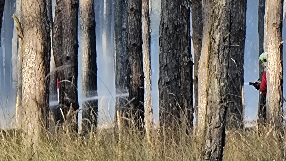 WhatsApp Image 2024-09-03 at 17.09.27