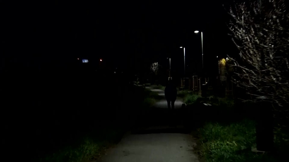 [multi] Rys v meste 4949