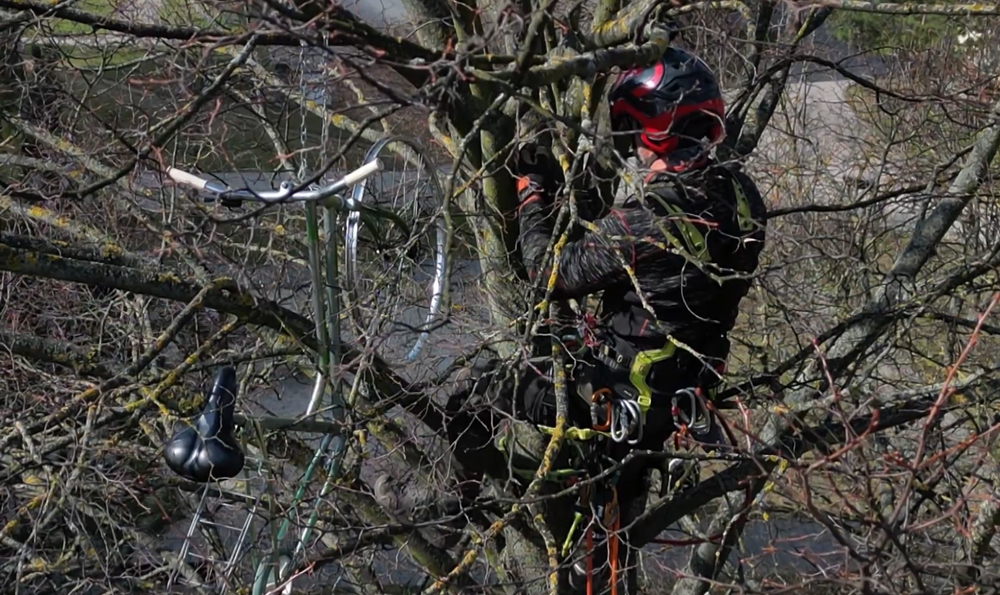 Vandali pripevnili bicykel na strome 