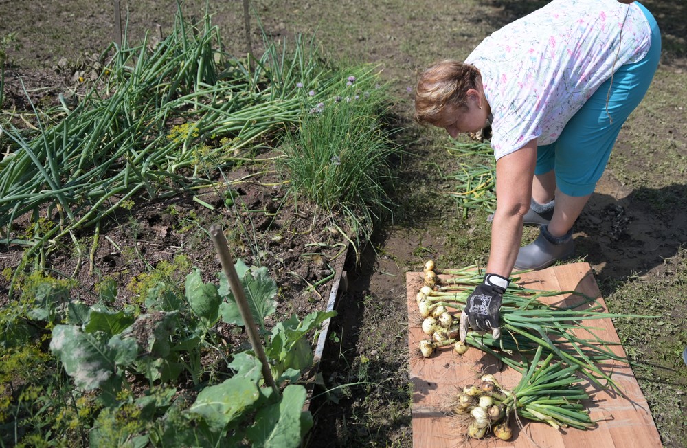 Mnisek02_11_7_2024056902