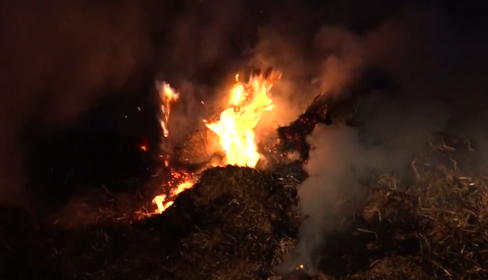 Screenshot 2024-07-26 124843