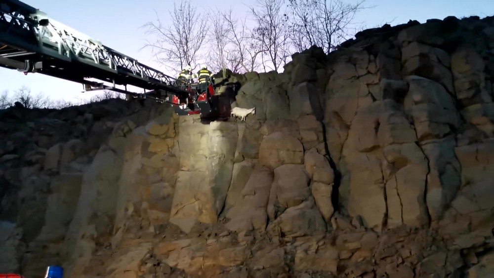 [multi] Zachrana kozy 2459