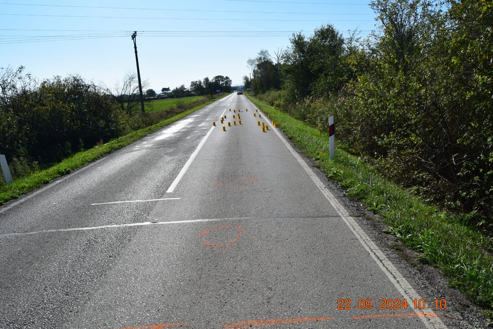 WhatsApp Image 2024-09-24 at 14.31.10 (3)