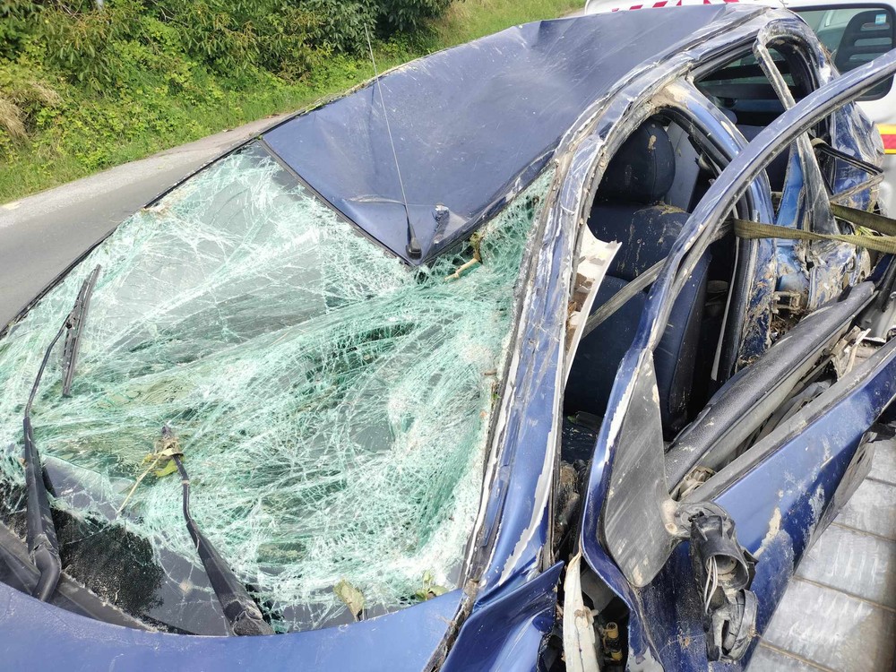 363860029_307150118372905_7043679077178156054_n