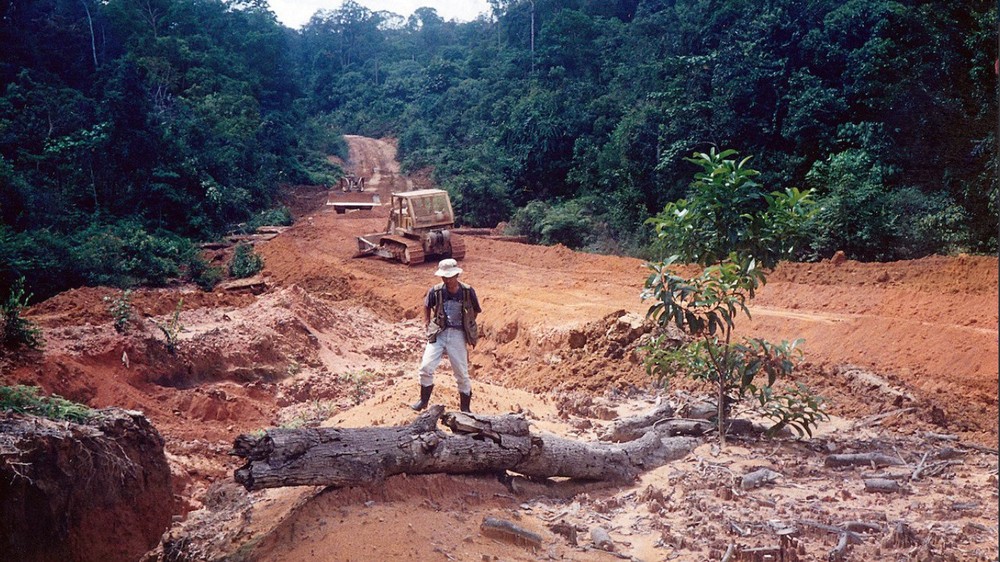 Masívne odlesňovanie v Indonézii 