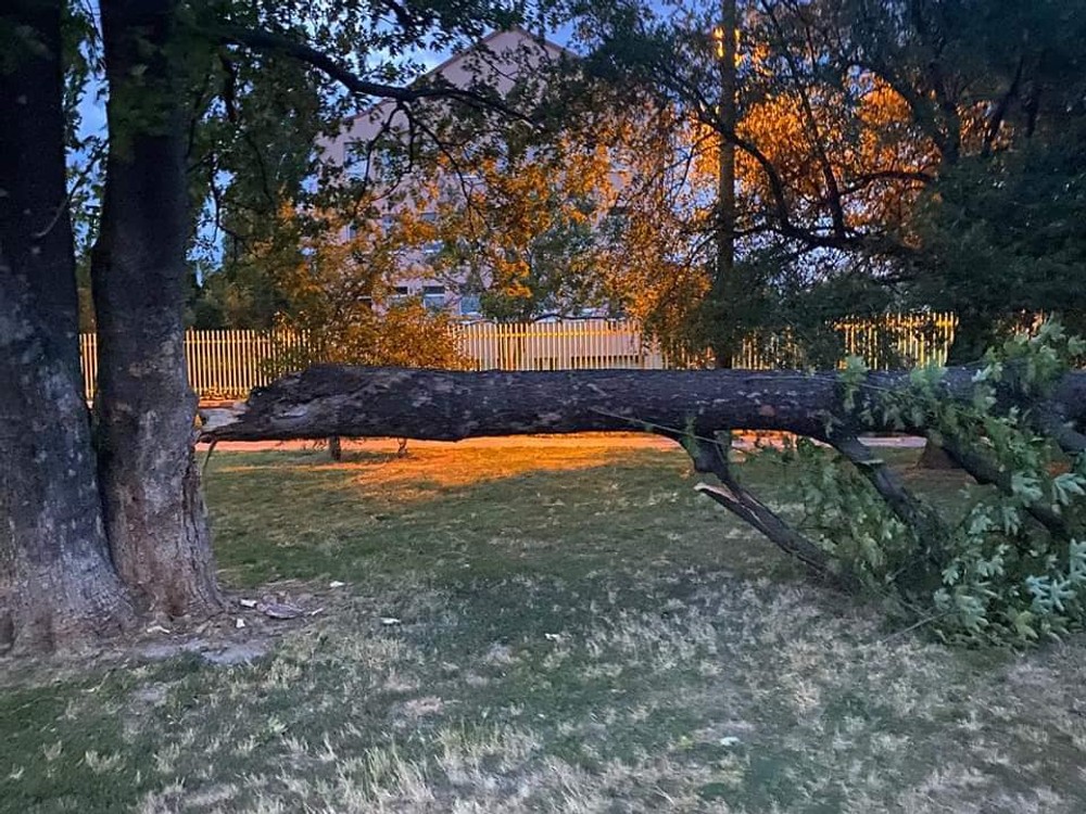 v noci vietor lámal stromy