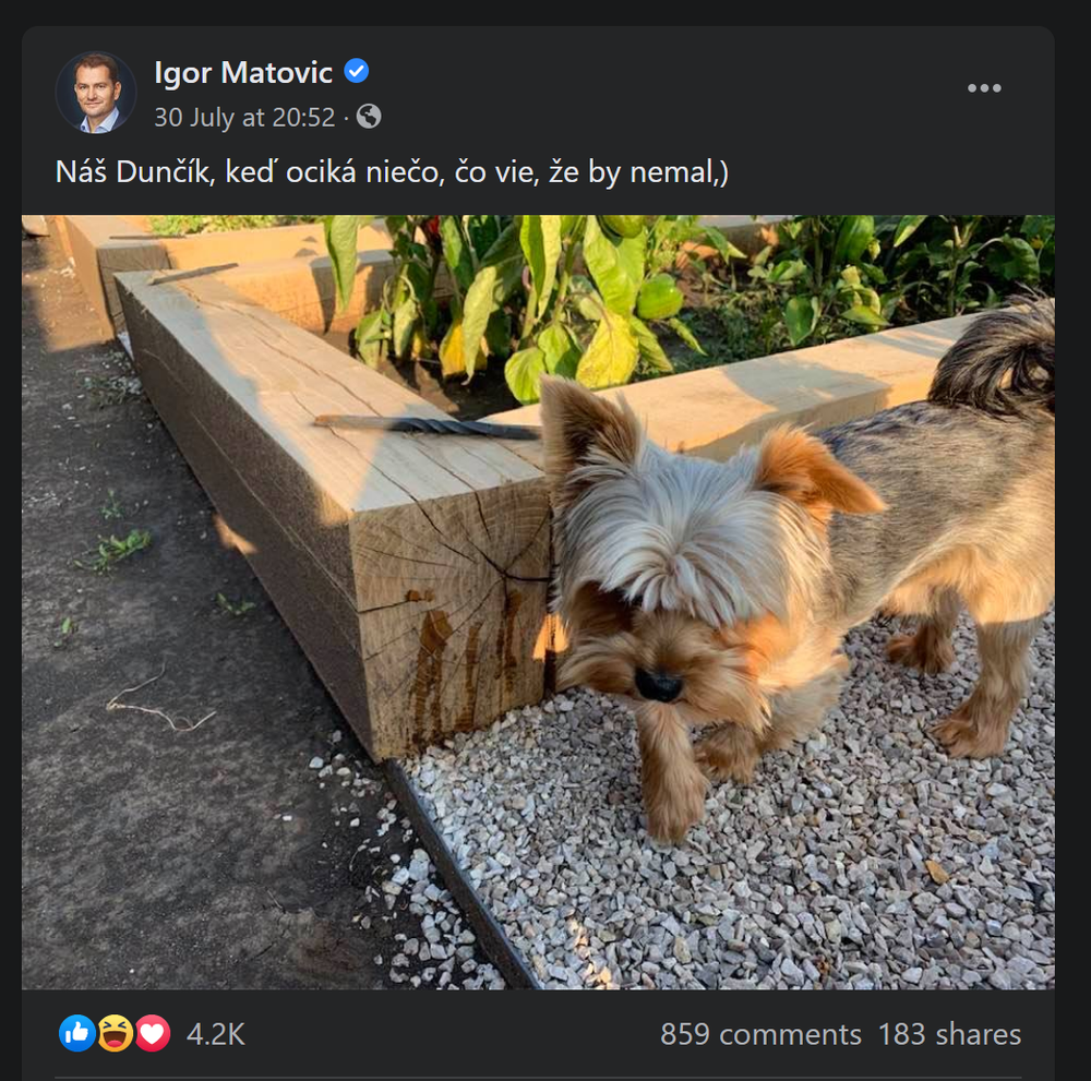 Politici na sociálnych sieťach