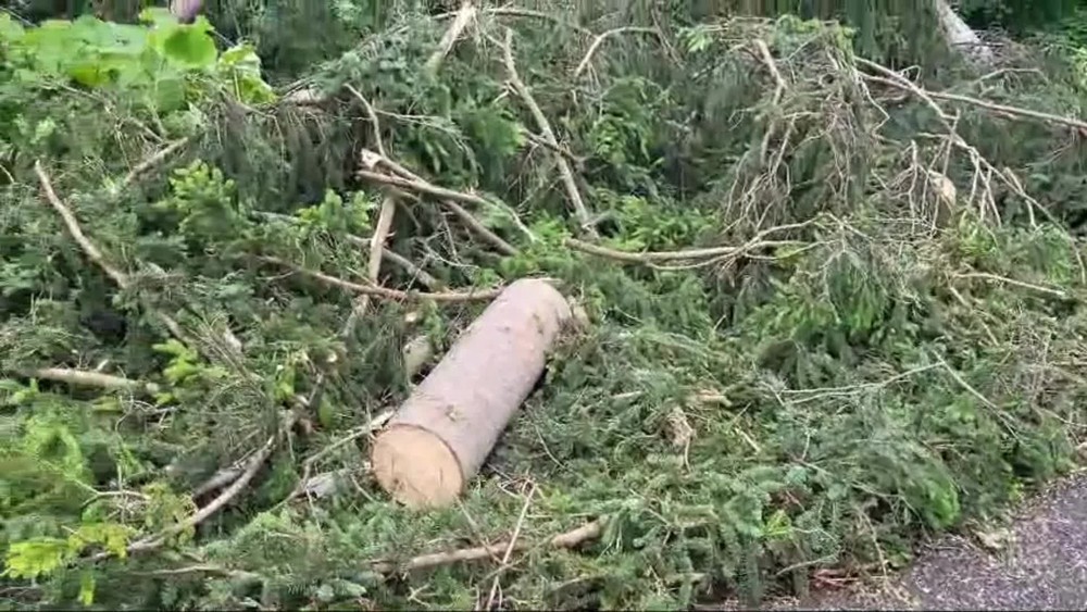 [multi] Kysuce Kalamita 7327