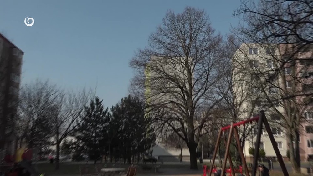 [multi] 030626XQR 768