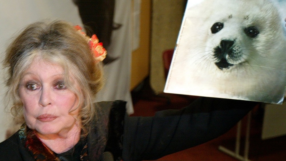 Bardot s fotkou tulena