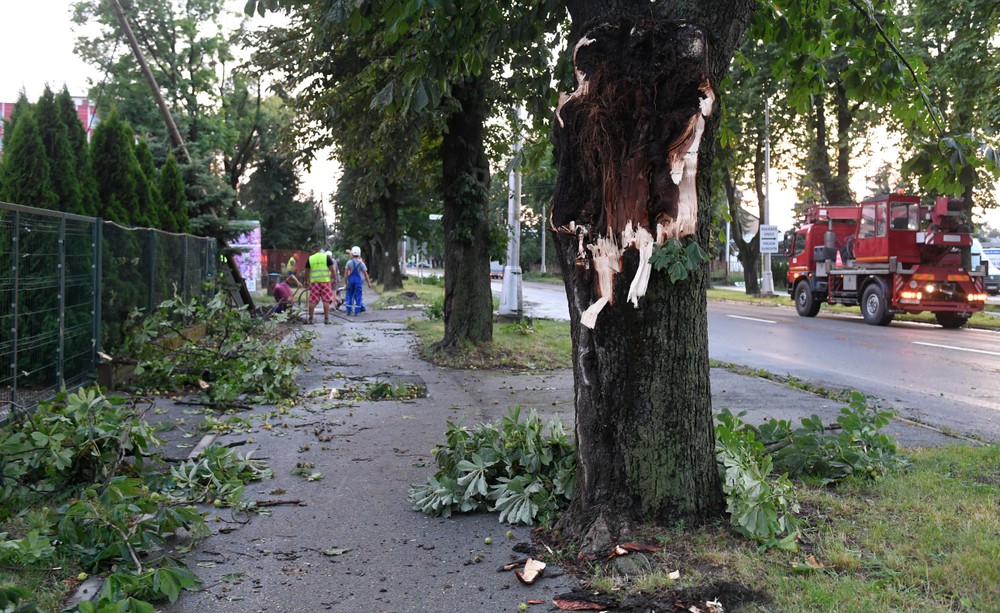 strazske12_19_7_2023973604