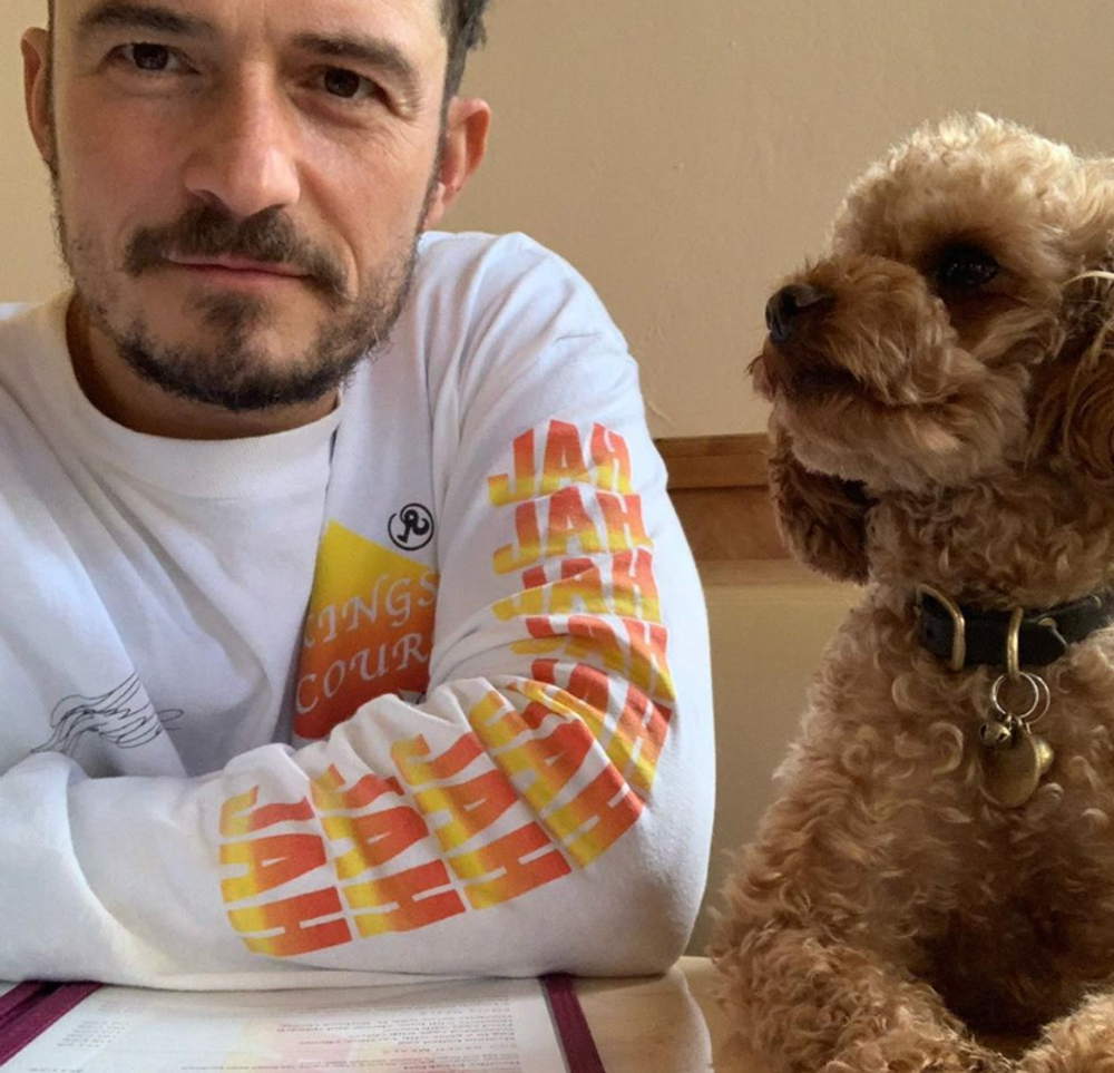 Orlando Bloom a jeho stratený psík Mighty