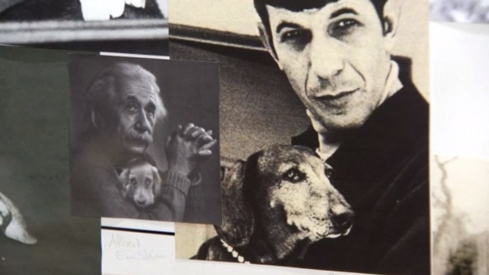 Múzeum jazvečíkov 