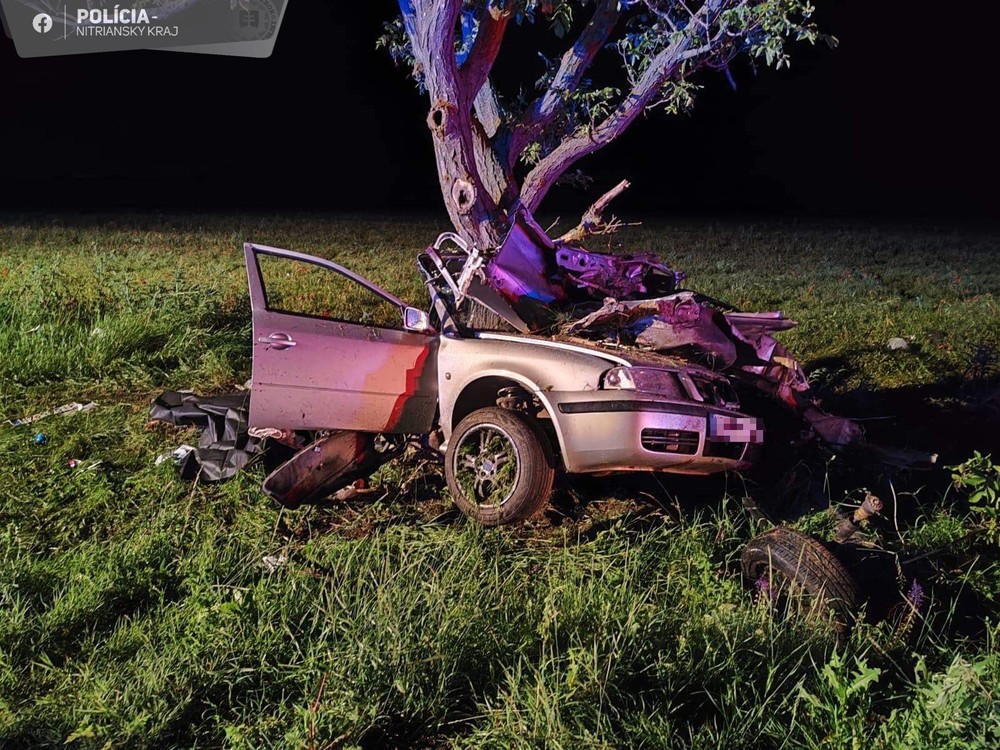 353011667_636525085190039_514007935980633851_n