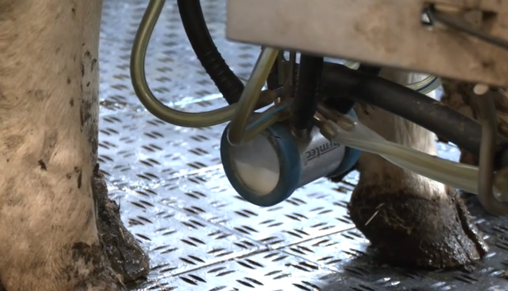 Screenshot 2024-05-19 092238